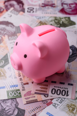 Finants — Intelligentsed finantsotsused